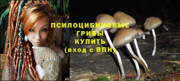 твердый Касимов