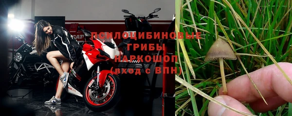 прущая мука Карпинск