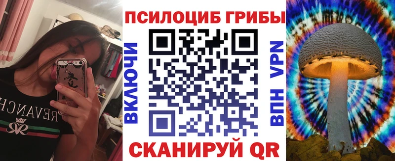 Псилоцибиновые грибы прущие грибы  Купить закладки  Михайловск 